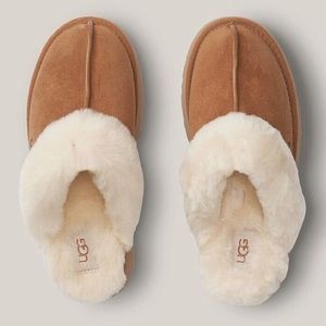 Chestnut Uggs Like New